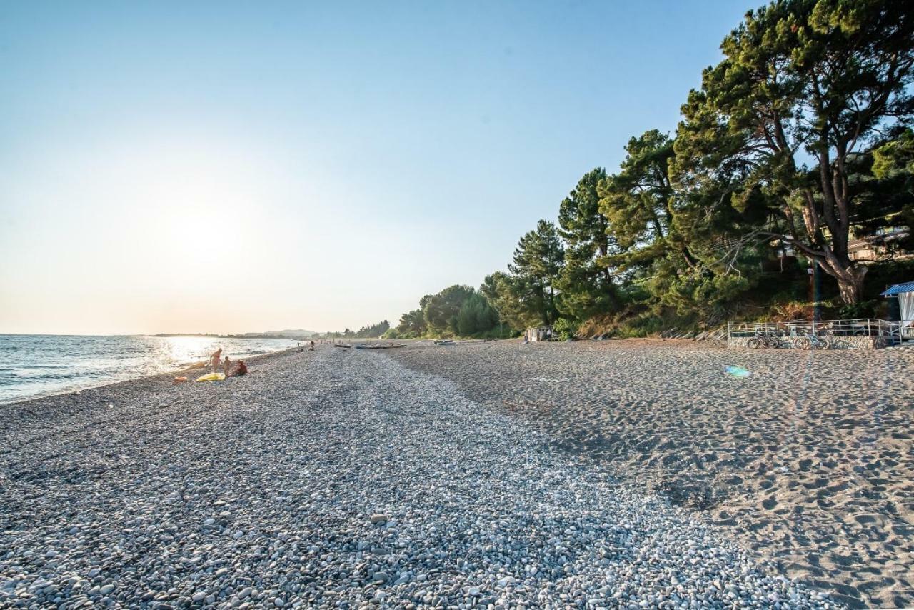Park-Hotel Abkhazia トゥサンドリプシュ エクステリア 写真